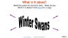 Winter Swans by Owen Sheers Teaching Resources (slide 5/18)